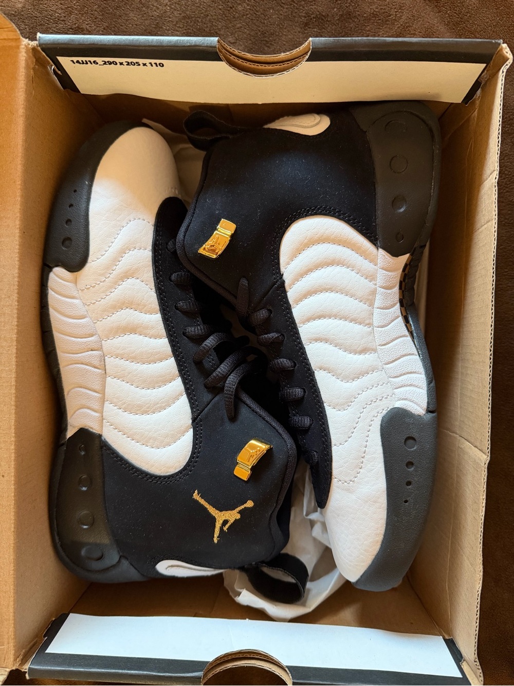 Nike Jordan jumpman pro (GS)